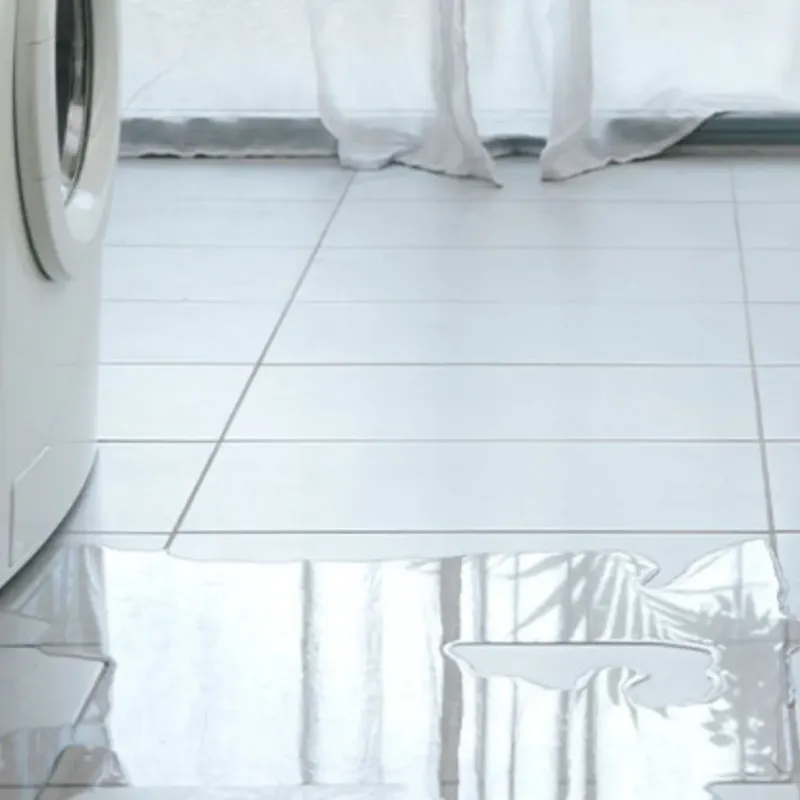 Appliance Leak Cleanup in Ricardo, TX