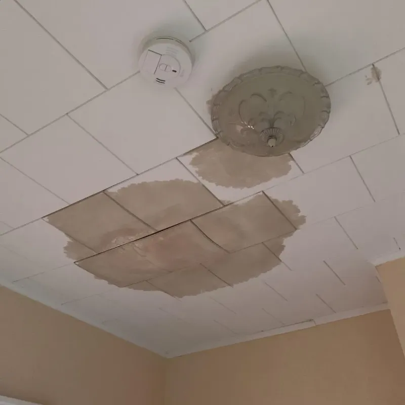 Ceiling Water Damage Repair in Ricardo, TX