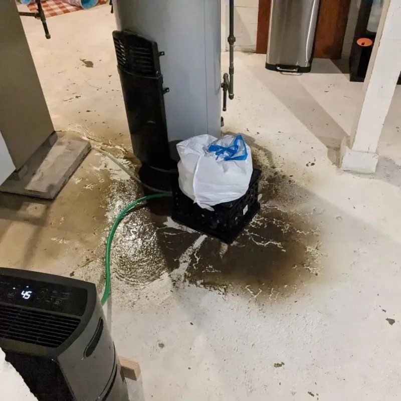 Sewage Backup Cleanup Service in Ricardo, TX